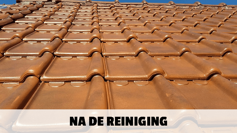 Onmossen van uw dak in Limburg, Antwerpen en Vlaams-Brabant
